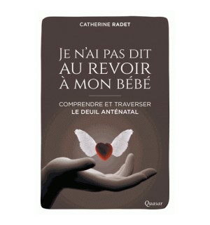 Je n'ai pas dit au revoir à mon bébé