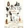 Saints de France